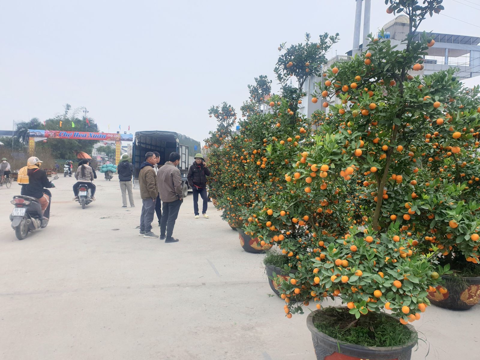 Chợ hoa xuân huyện Tiên Lữ thu hút hơn 30 gian hàng