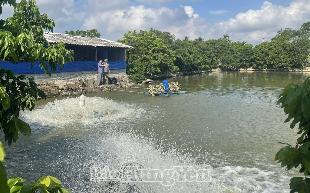 Hội Nông dân xã Thủ Sỹ: Hỗ trợ nông dân phát triển kinh tế, vươn lên làm giàu 