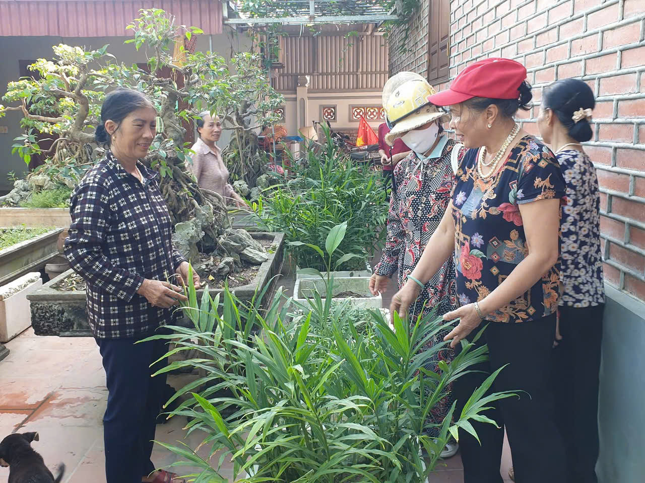 Hiệu quả từ việc sử dụng men vi sinh IMO để xử lý rác thải tại hộ gia đình trên địa bàn